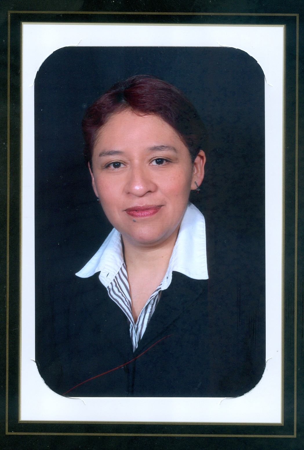Mtra. ANA CRISTINA SANTOS PEREZ