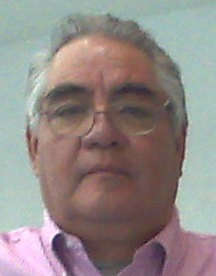Ing. MIGUEL ANGEL PEREZ DIAZ